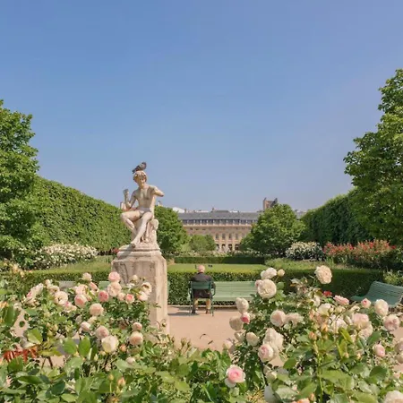 Center - 1st Palais Royal/louvre Museum