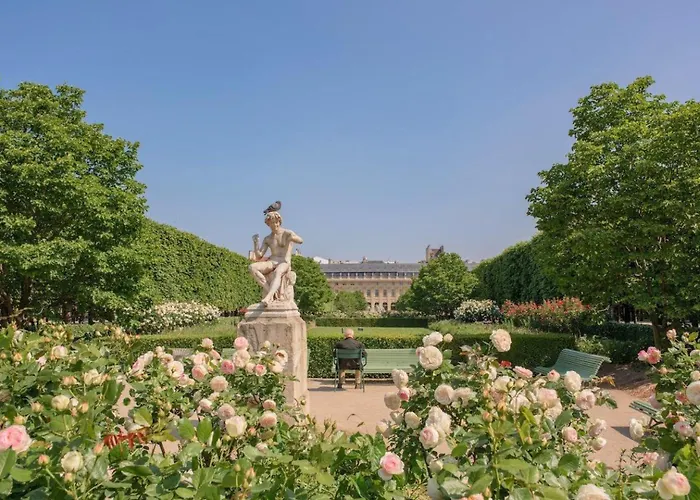 Center - 1st Palais Royal/louvre Museum